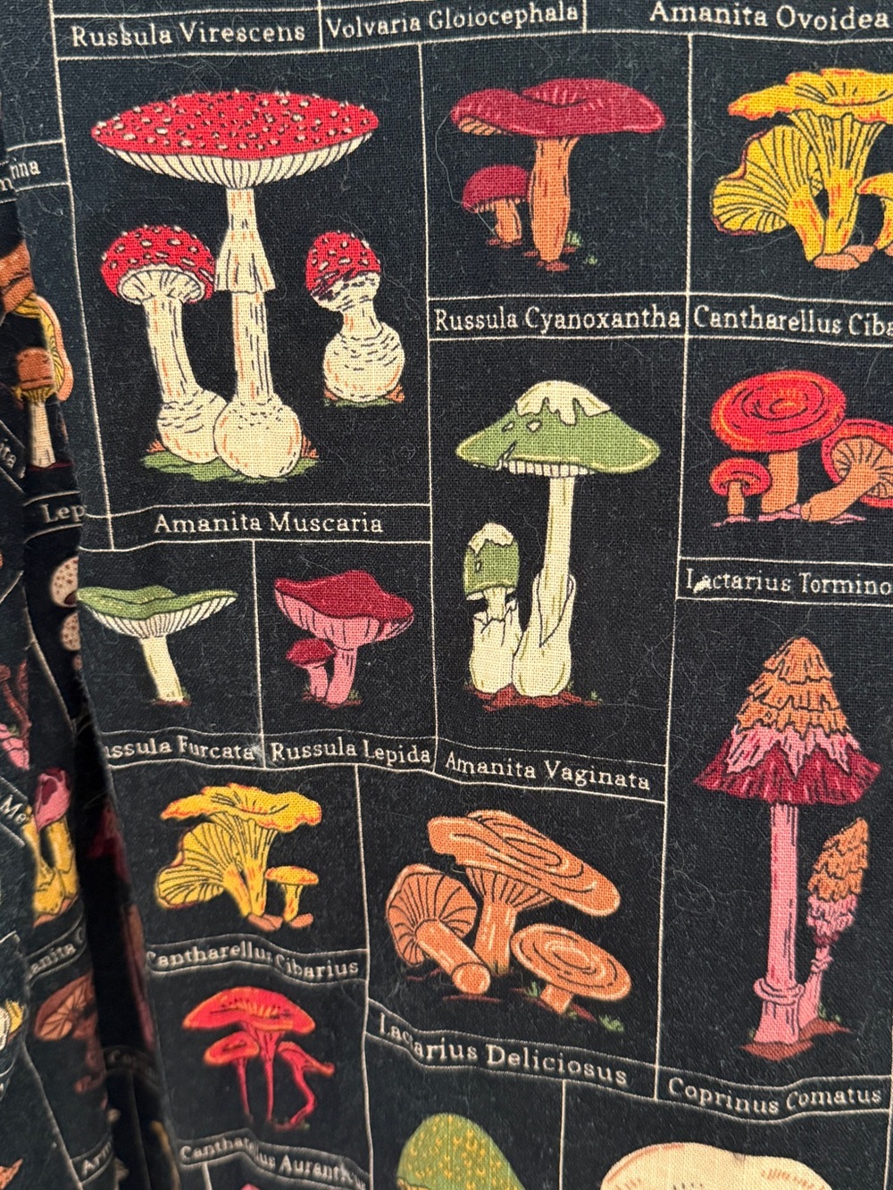 DANGERFIELD Fungus Cottagecore Blouse - Picture 8 of 10